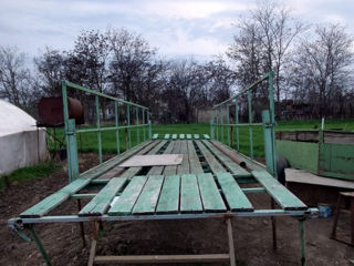 Продам пасеку. Срочно foto 3