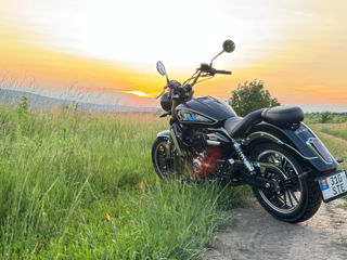 Viper Chopper 550 фото 7
