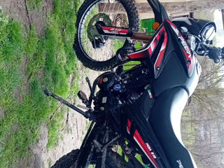 Viper foto 0