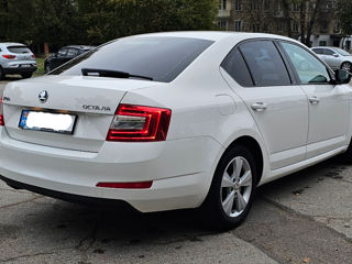 Skoda Octavia foto 3