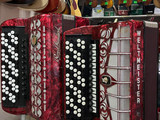 Acordeoane si baian Мир аккордеонов в музыкальном магазине Pro-Arta foto 2