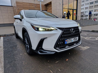 Lexus NX Series