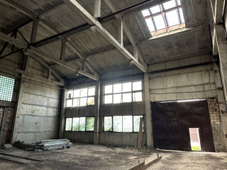 Depozit / Producere