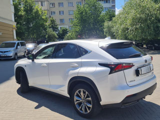 Lexus NX Series foto 9