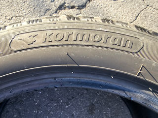 Kormoran Snow 225/50 R17 foto 5