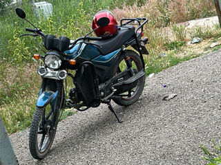Alpha Moto Andes 110cc