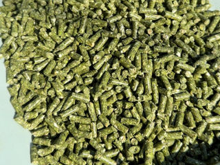 granule iepuri 7,50  lei/kg