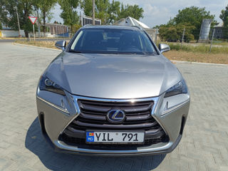 Lexus NX Series foto 3