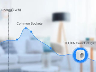 Новые Смарт-розетка Smart Plug Teckin SP22 WiFi (2 шт.) / Priză inteligentă 2 buc фото 5