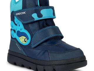 Geox 25