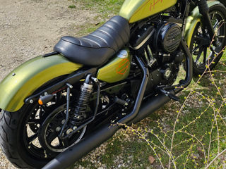 Harley - Davidson Sportster Iron 883 фото 15