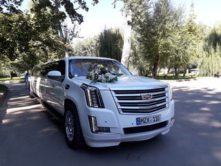 Limuzine Chisinau,limuzine Moldova de la Limos.md foto 5