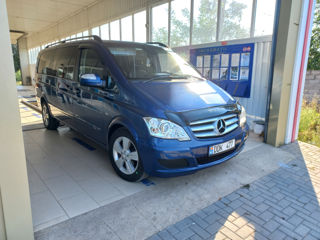 Mercedes Viano foto 6