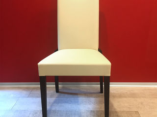Новые стулья итальянской фирмы Connubia Calligaris foto 3