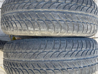 Debica frigo 195/65r15