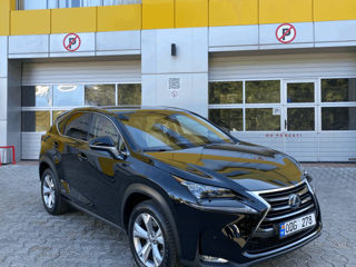 Lexus NX Series