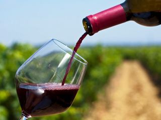 wine tour ! Проведу для вас винную экскурсию foto 1