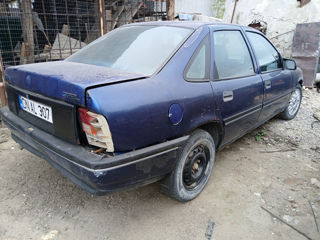 Opel Vectra foto 8