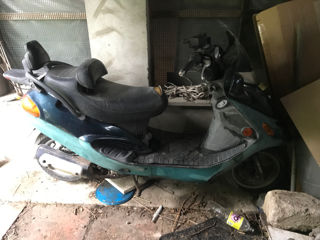 Kymco Dink foto 2