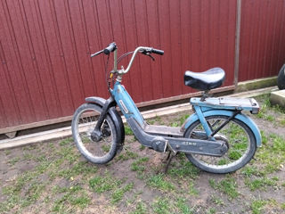 Piaggio Ciao ciao  foto 2