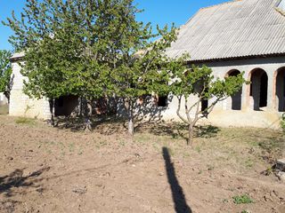 Vind casa cu 12 ari în satul Doroțcaia, raionul Dubasari foto 2