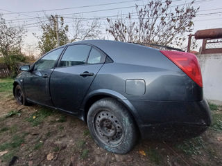 Nissan Primera foto 4