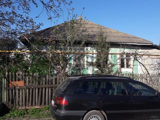 Дом на земле в г. Дрокия  Костантин Стере, 35  для жилья и для бизнеса foto 4
