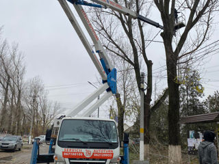 Servicii de defrișări copaci! foto 20