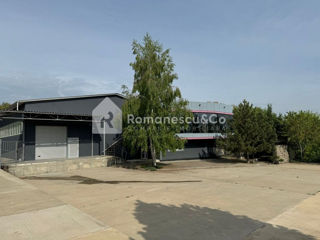 Spre chirie spațiu comercial (150m2) + spațiu industrial (350m2) în or.Vatra! foto 18