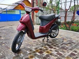 Piaggio Free foto 1