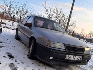 Opel Vectra foto 7