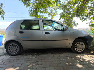 Fiat Punto foto 6