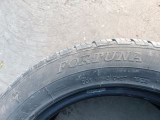 215/55r16 4 buk anu 2023 foto 4