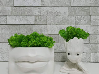 Obiecte de decor pentru casa si birou.Ghivece,vaze,suvenire.Topiary.Горшки,кашпо и сувениры.