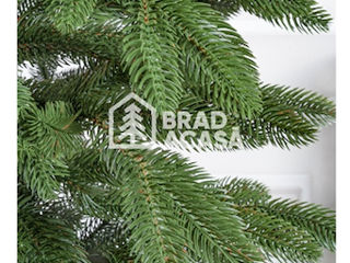 Brad artificial Premium 1.80m / Искусственная ёлка Premium 1.80m foto 7