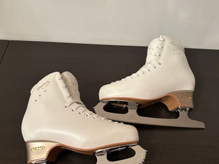 Patine Edea 250 C