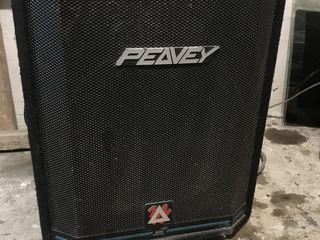 Peavey foto 1