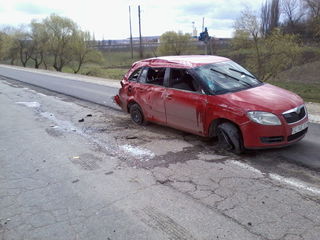 fabia foto 3