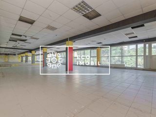 Botanica, vânzare, oficiu, spațiu comercial, 500 m.p, 320 000 euro foto 15