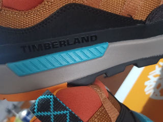 Timberland foto 3