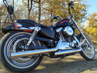 Harley - Davidson XL1200V foto 2
