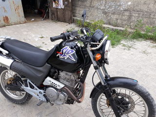 Honda SLR 650 foto 4