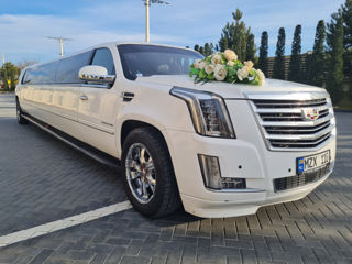 Limuzine în Chișinău limos.md foto 10