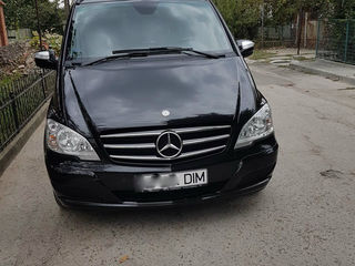 Mercedes Viano foto 6