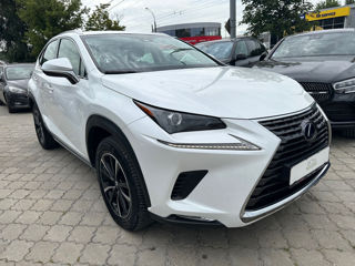 Lexus NX Series