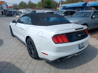Ford Mustang foto 4