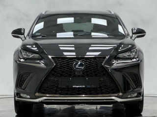 Lexus NX Series