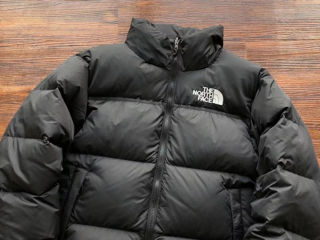 Scurta the north face