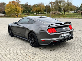 Ford Mustang foto 7