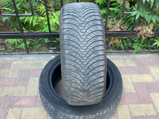 R 17 205/50 Falken